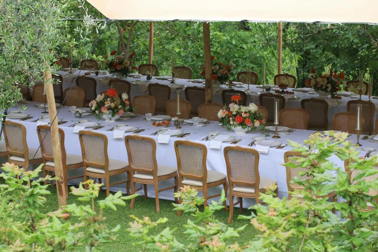 Bed & Breakfast Bed and Breakfast Terre di Baccio Greve in Chianti